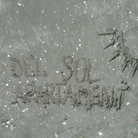 Apartment Delsol *
